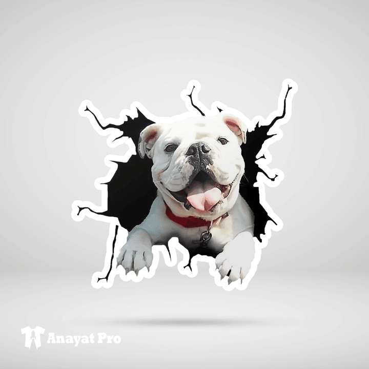 Sticker-English Bulldog Torn Out 4
