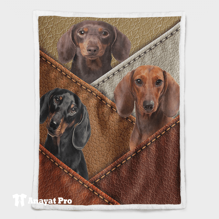 Blanket-Three cute dachshunds