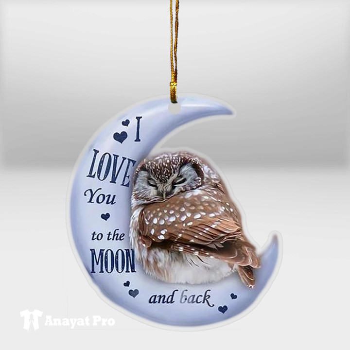 Ornament-Owl Moon Back