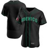 Men's Mexico 2023 World Baseball Flex Base Jersey - All Stitched