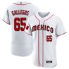 Men's Mexico 2023 World Baseball Flex Base Jersey - All Stitched