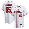 Youth's Mexico 2023 World Baseball Cool Base Jersey - All Stitched