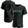 Youth's Mexico 2023 World Baseball Flex Base Jersey - All Stitched