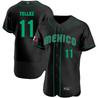 Youth's Mexico 2023 World Baseball Flex Base Jersey - All Stitched