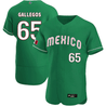 Youth's Mexico 2023 World Baseball Flex Base Jersey - All Stitched