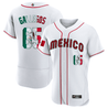 Men's Mexico 2023 World Baseball Flex Base Flag Jersey - All Stitched