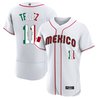 Men's Mexico 2023 World Baseball Flex Base Flag Jersey - All Stitched