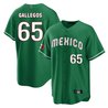 Men's Mexico 2023 World Baseball Cool Base Jersey - All Stitched