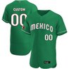 Mexico 2023 World Baseball Flex Base Custom Jersey - All Stitched