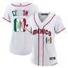 Mexico 2023 World Baseball Cool Base Custom Jersey - All Stitched