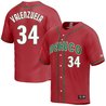 Men's 2023 World Baseball Mexico Jersey - All Stitched
