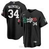 Men's 2023 World Baseball Mexico Jersey - All Stitched