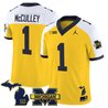 Men's Michigan Wolverines 2025 Vapor Limited Jersey V2 - All Stitched