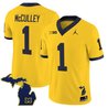 Men's Michigan Wolverines 2025 Vapor Limited Jersey V2 - All Stitched