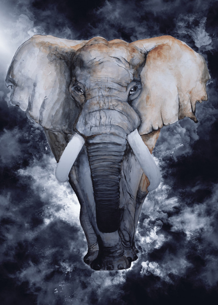 Elephant 5 Surreal Nature And Animal Canvas Print | PB Canvas