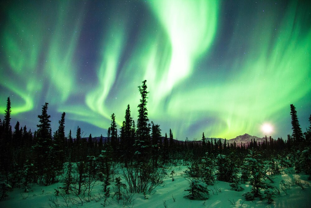 Northern Lights Or Aurora Borealis Alaska Photo Photograph Canvas Canvas Print | PB Canvas