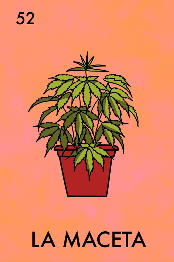 La Maceta Pot Plant Funny Mexican Lottery Parody Marijuana Weed 420 Canvas Canvas Print | PB Canvas
