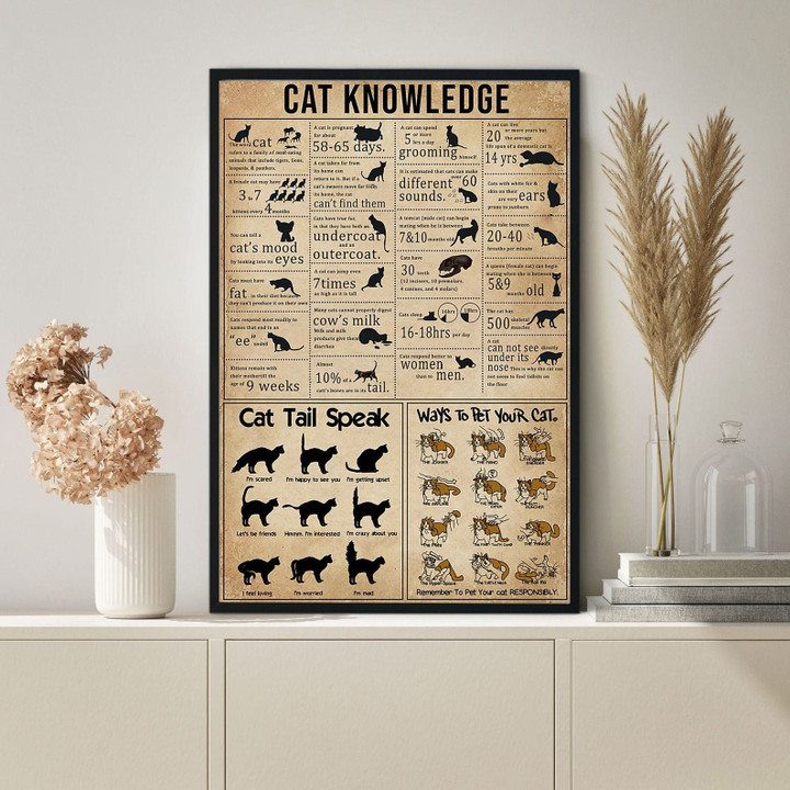 Cat Knowledge Canvas Cat Canvas Cat Art Print Cat Lover Gift Cat Wall Decor Funny Cat Prints Cat Owner Gift Funny Cat Gift | PB Canvas