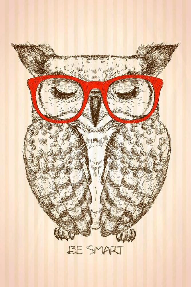 Hipster Owl Be Smart Dressed In Red Glasses Vintage Graphic Canvas Canvas Print 2 | PB Canvas