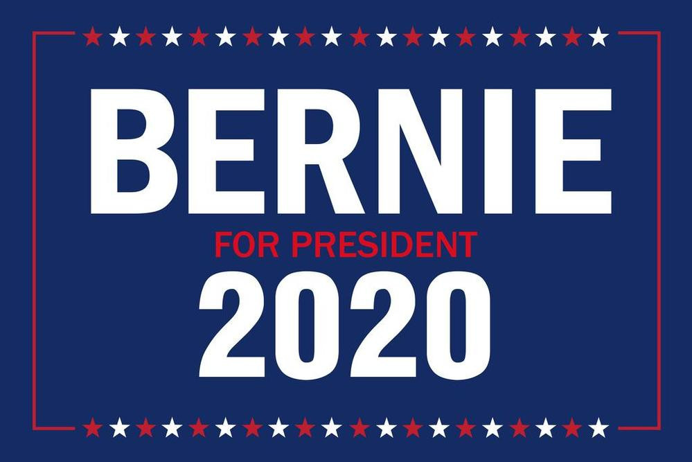 Vote Bernie Sanders For President 2020 Campaign Cubicle Locker Mini Art Canvas Canvas Print | PB Canvas
