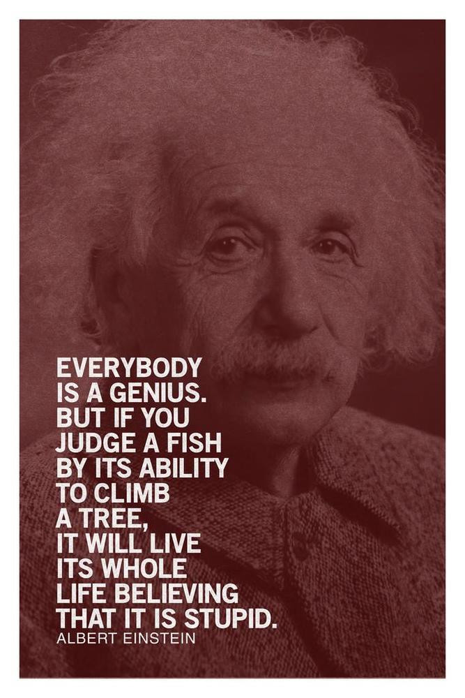 Albert Einstein Everybody Is A Genius Motivational Quote Maroon Canvas Canvas Print | PB Canvas
