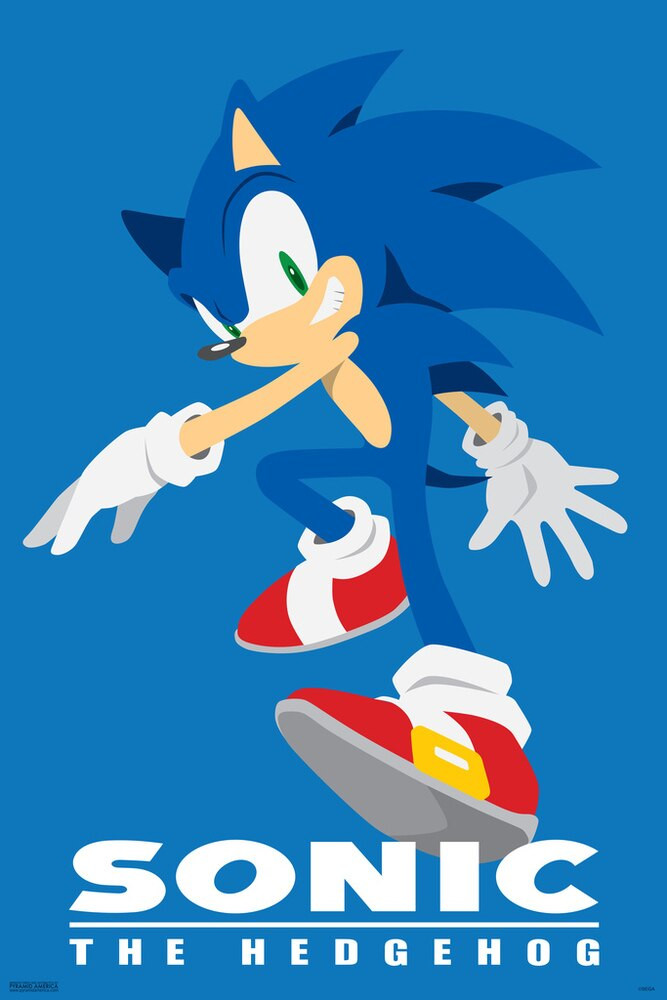 Sonic The Hedgehog Character Sega Video Game Gaming Canvas Canvas Print | PB Canvas