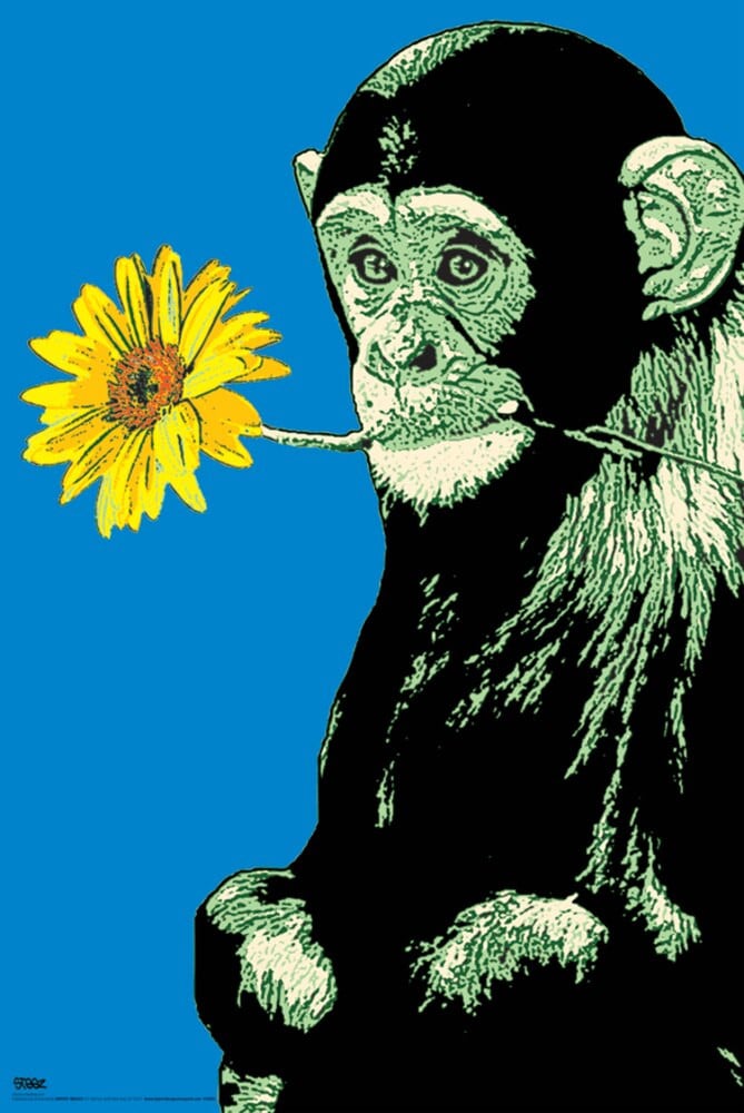 Steez Monkey Flower Canvas Canvas Print | PB Canvas