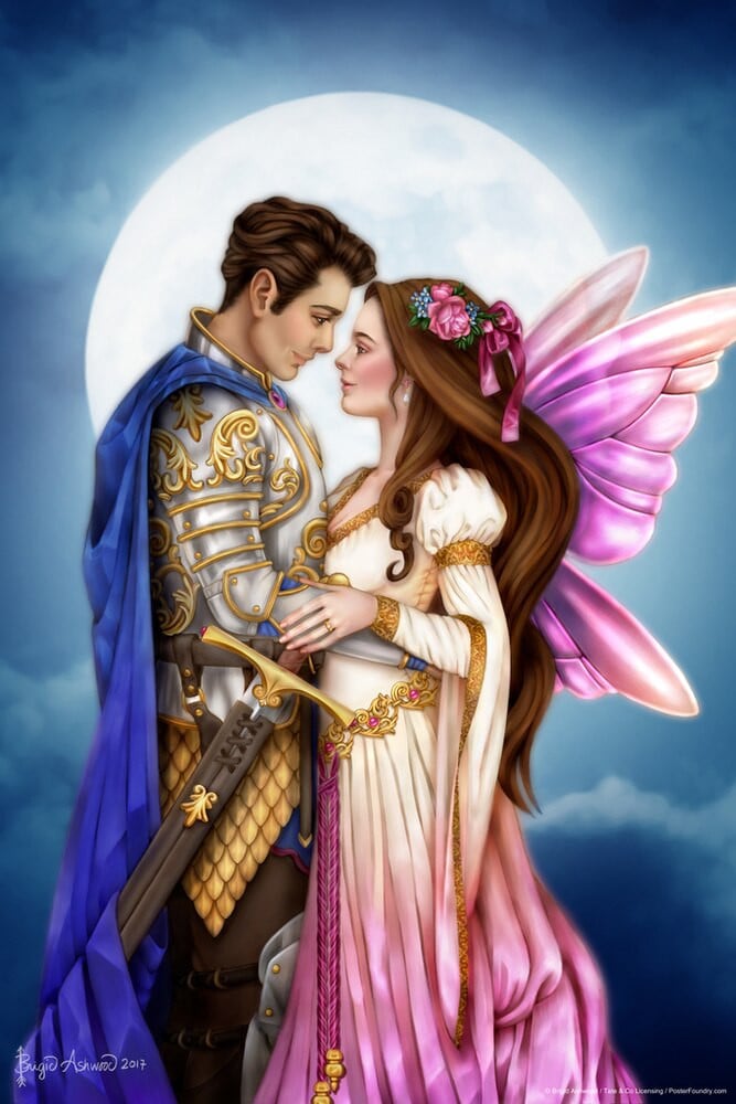 Fairy Wedding By Brigid Ashwood Canvas Canvas Print | PB Canvas
