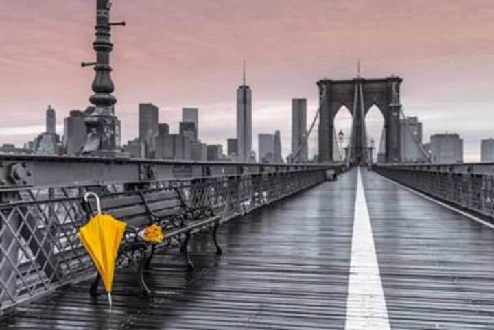 Assaf Frank Brooklyn Bridge Umbrella Photo Photograph Canvas Canvas Print | PB Canvas