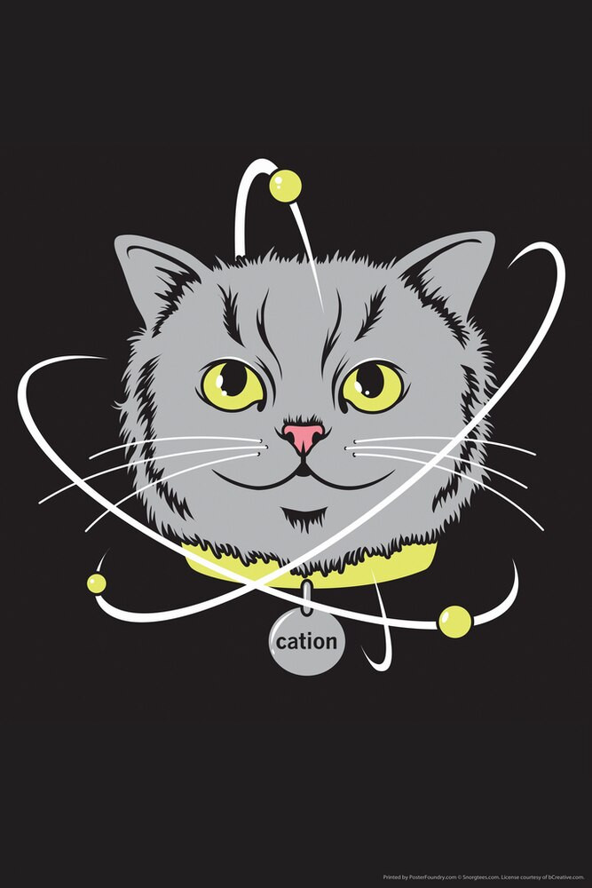 Cation Kitty Science Humor Canvas Canvas Print | PB Canvas