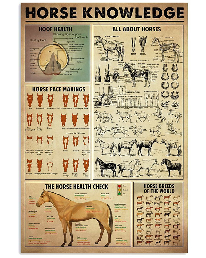 Horse Knowledge Special Gift For Horse Lovers Vertical Canvas | PB Canvas