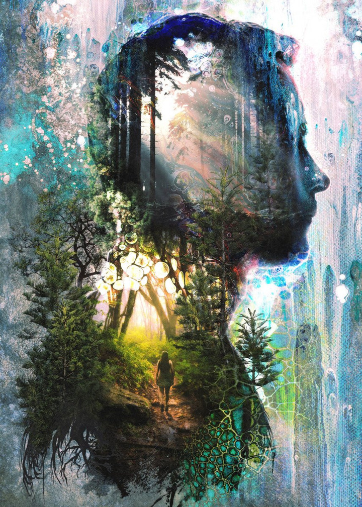 Forest Memories Surreal Nature And Animal Canvas Canvas Print | PB Canvas