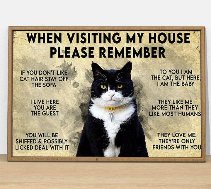 When Visiting My House Please Remember Cat Lover Cat Canvas Best Gift Canvas Wall Decor Art 22d | PB Canvas