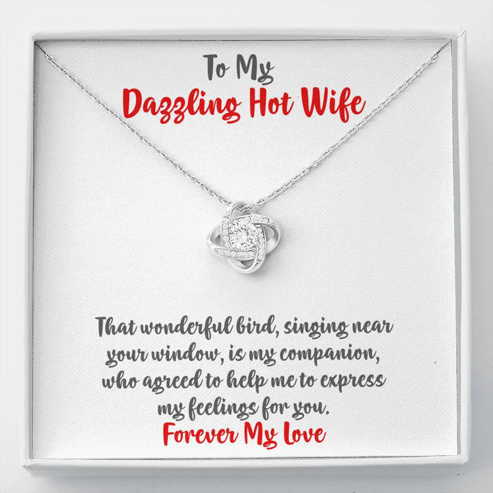 Anniversary Gift For Wife, To My Wife Necklace, Present For Wife, Marriage Gifts, Gift Ideas For Wife, Interlocked Hearts Necklace