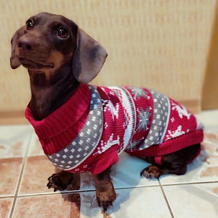Cute Dachshund Sweater