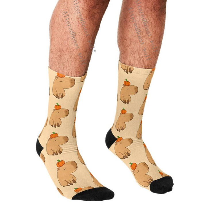 Men's Funny socks Capybara
