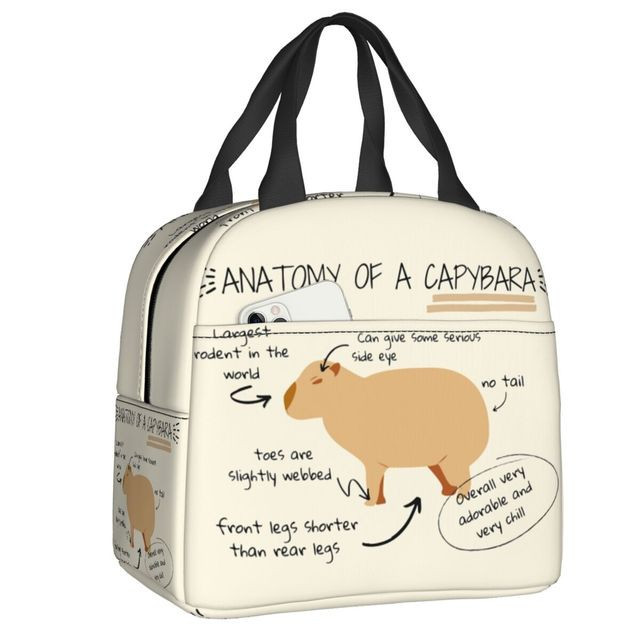 Anatomy Of A Capybara Lunch Bag