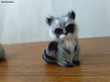 simulation raccoon hard model prop about 5x7cm polyethylene&furs gray raccoon handicraft decoration