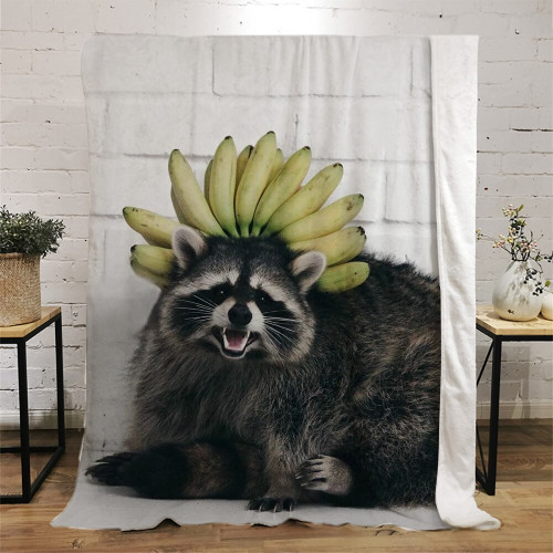 Cute Raccoon Throw Blankets