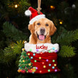 Personalized Upload Photo Dog Christmas Santa Acrylic Ornament, Christmas Gift for Dog Cat Lovers