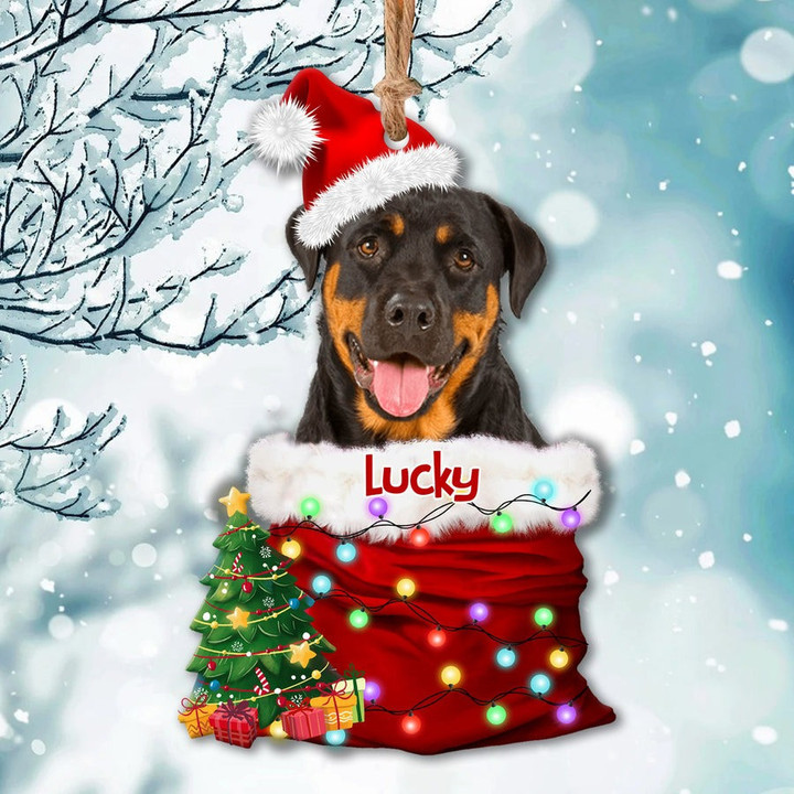 Personalized Upload Photo Dog Christmas Santa Acrylic Ornament, Christmas Gift for Dog Cat Lovers