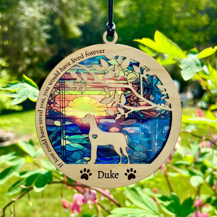 Personalized Dog Memorial Suncatcher Ornament with Beach Ocean Sunrise Pattern