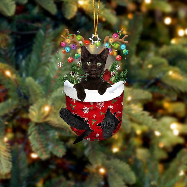 Havana Brown Cat In Snow Pocket Christmas Ornament Flat Acrylic Cat Ornament