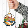 Eevee Pokeball Christmas Ornament