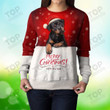 Rottweiler Christmas Sweatshirt, Dog Sweatshirt For Humans