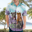 Pitbull Hawaii shirt