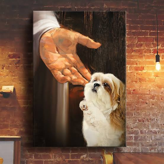  ShihTzu  Dog items