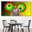Hypnotic Owl On Colored Circle Eagle Animals Premium Canvas Art Hypnotic Owl Art Supplies Canvas Huge Large Canvas For Painting
