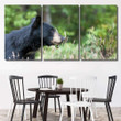Isolated Black Bear Green Background Alaska Bear Animals Canvas Art Isolated Black Very Large Canvas Shapely Clear Canvas For Painting