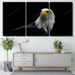 Low Key Close Isolated Image Bald Eagle Animals Premium Canvas Low Key Canvas Roll Kawaii Printable Canvas Sheets For Inkjet Printers